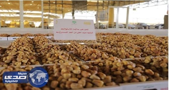 بلدية بريدة تصادر 180 كرتونة تمور فاسدة