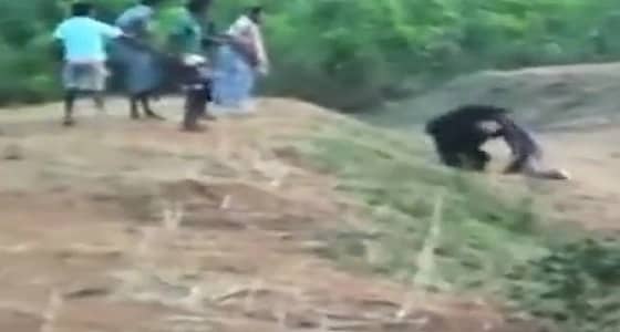 بالفيديو.. دب يفترس رجل حتى الموت