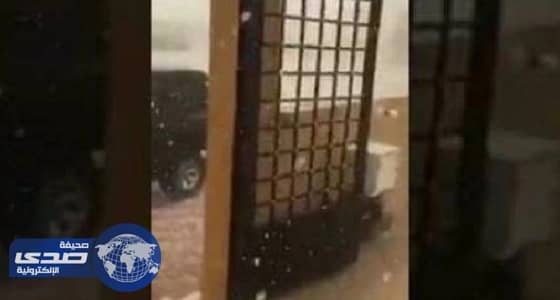 بالفيديو..لحظة تساقط كرات ثلجية على حي الضاحي في  بريدة