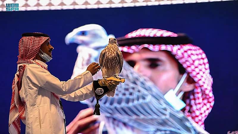 بيع أغلى صقر من إنتاج سعودي بـ 270 ألف ريال