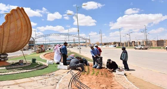 بالصور.. بلدية طريف تغرس آلاف الزهور بالمحافظة