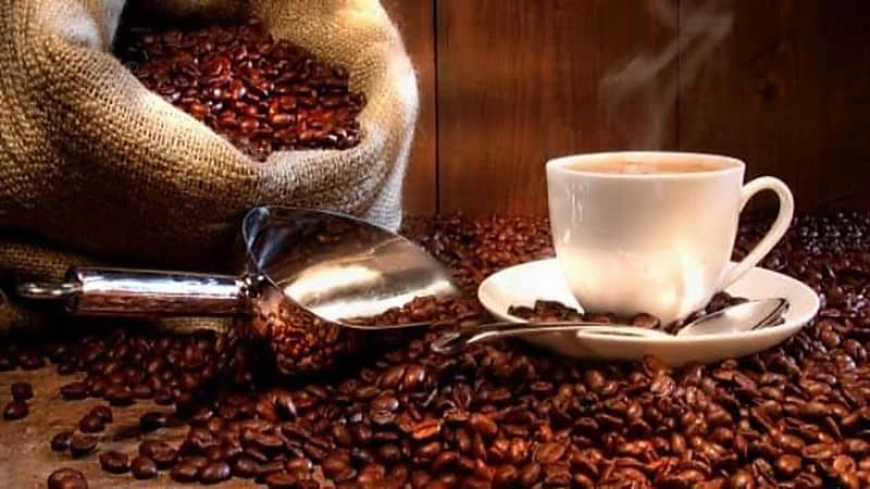 استهلاك الكافيين بانتظام يحمي من الأمراض