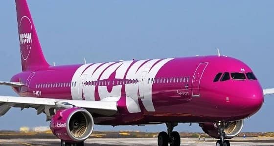 كتيبة نمل تسبب هرج في طائرة كندية