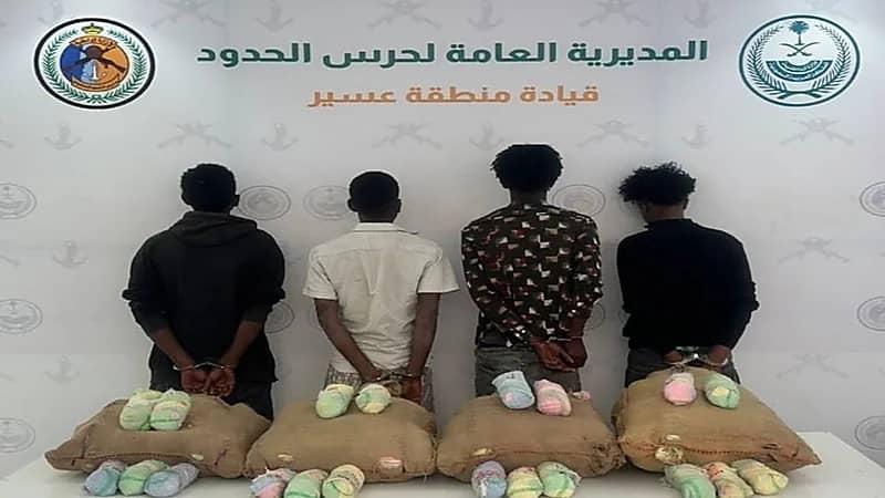 القبض على 4 مخالفين لتهريبهم 80 كيلوجرامًا من نبات القات بعسير