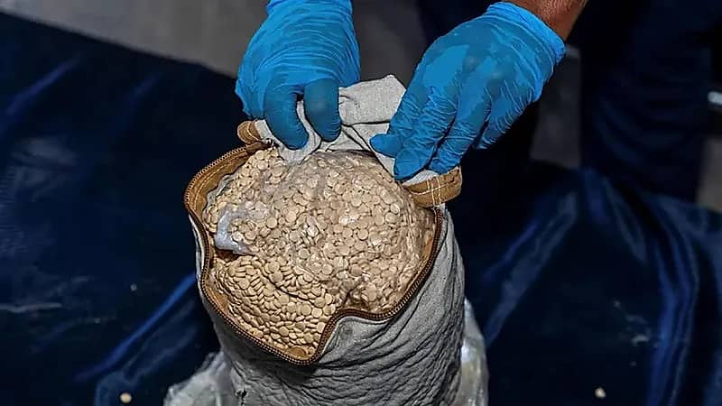 جمرك الحديثة يُحبط 3 محاولات لتهريب أكثر من 151 ألف حبة كبتاجون بمركبة