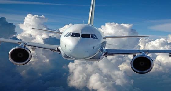 قائد طائرة سعودية يعثر على قط داخل الكابينة