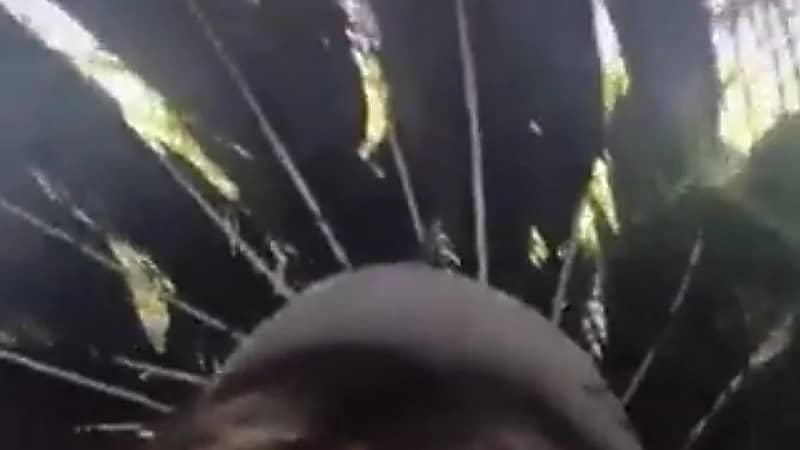 بالفيديو.. مشجع كويتي يتحسر على حظه في الملعب لوجود فتاة أمامه تحجب عنه الرؤية