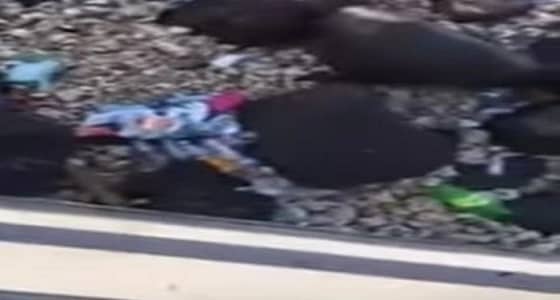 بالفيديو.. نفايات الواجهة البحرية بجدة تثير غضب المواطنين