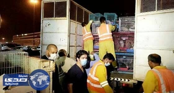 حملة تفتيشية على سوق الطيور بالرياض