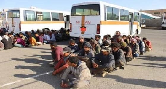 " العمل بالقطيف " يضبط 13 وافدًا ضمن حملة " وطن بلا مخالف "