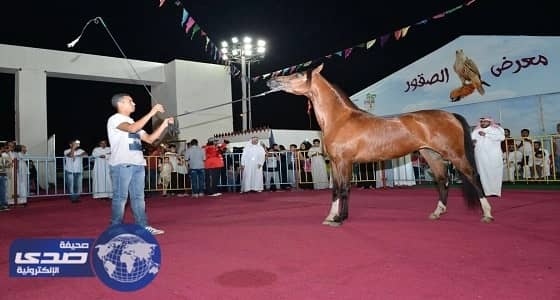 ⁠⁠⁠بالصور.. عروض الخيل العربية الأصيلة في مهرجان ربيع مكة