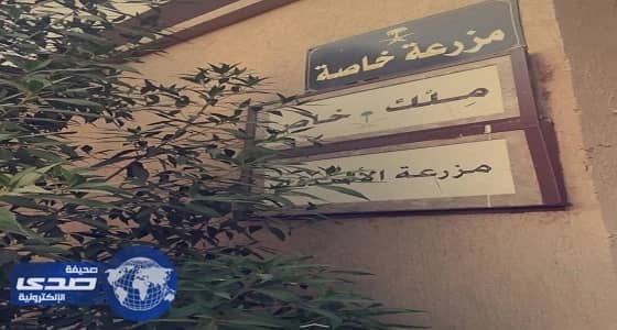 مركز التأهيل الشامل للاناث بمكة يدعو المقيمات للإفطار الجماعي