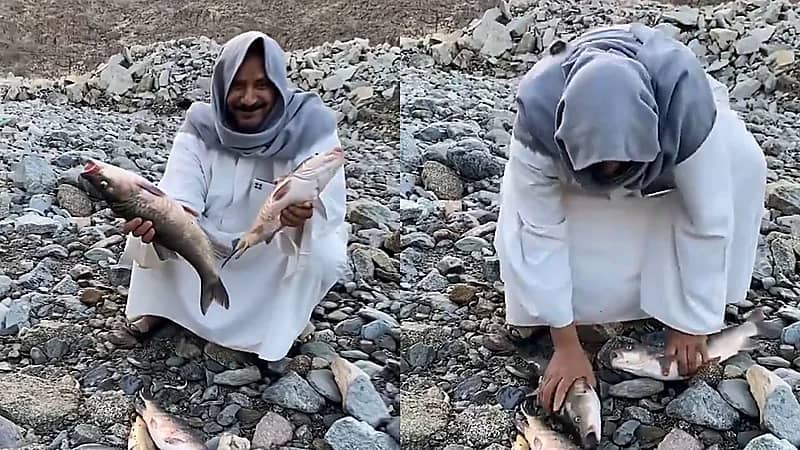 مشهد مدهش للأسماك وهي تملأ الأرض بعد الأمطار الغزيرة والفيضانات .. فيديو