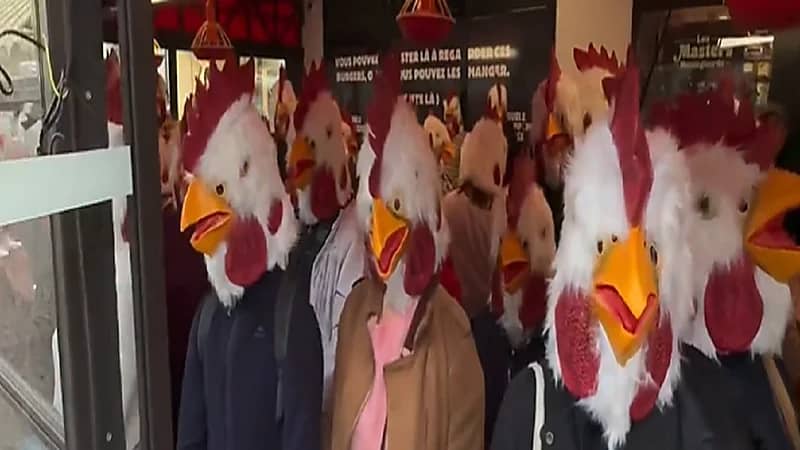 فيديو..فرنسيون يقفون دقيقة حداد على أرواح الدجاج!