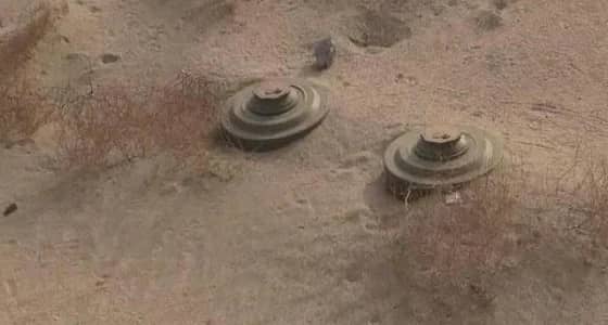 بالفيديو.. شباب اليمن يستخرجون 55 لغما حوثيا دون أجهزة