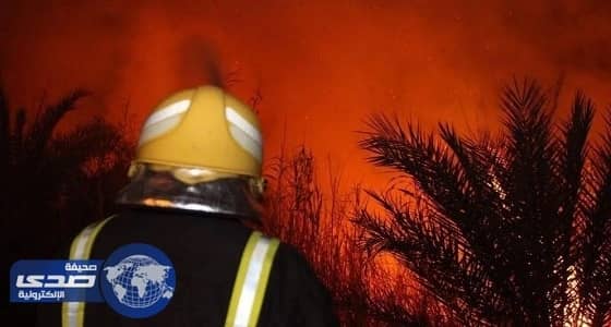 إخماد حريق في مزارع للحبوب بدومة الجندل