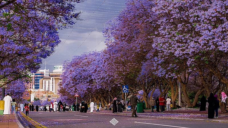 أبها تسجل أقل درجة حرارة اليوم الأحد