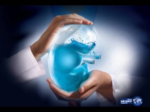 شركة سلوفاكية تعلن عن عربة طائرة بمليون دولار