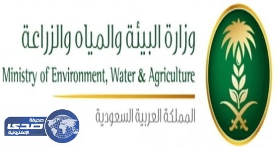 تخصيص 10 ملايين متر لاستزراع غابة شرق عنيزة