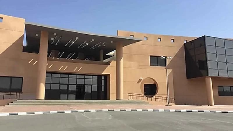 تفاصيل رسالة ماكرون لأردوغان بشأن الصحفي الفرنسي المعتقل في تركيا