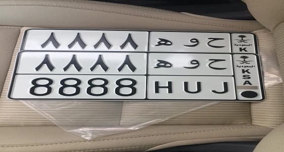 بالصورة.. اللوحات المراد بيعها بمزاد المدينة