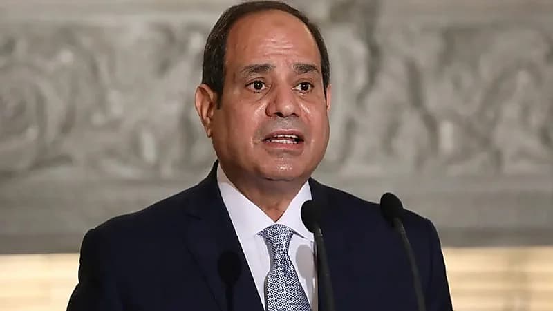 رجل وامرأة يدخلان عش الزوجية بقرار من "السيسي"