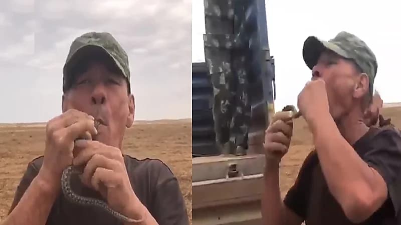 بالفيديو.. وفاة خمسيني حاول ابتلاع أفعى سامة