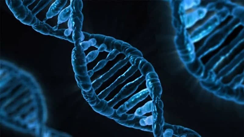 بالفيديو.. الصحة العالمية توضح أهمية تسلسل الجينوم في تتبع الأمراض المتفشية