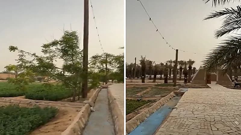 الزعاق: رياح البوارح تنشر الجفاف والحرارة والغبار.. فيديو