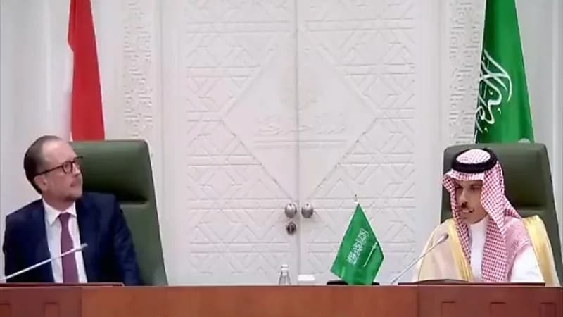 بالفيديو.. وزير الخارجية: العلاقات التجارية بين المملكة والنمسا أكثر من 50 عامًا