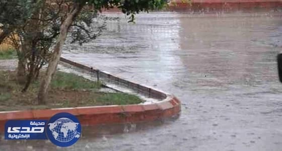 خبير مناخي يتوقع قدوم شتاء مبكر وقارس على المملكة