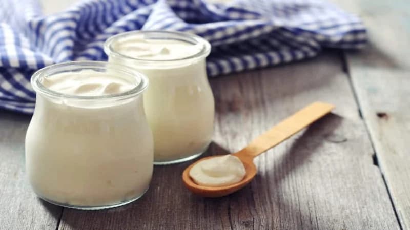 الخضيري: تخزين اللبن والزبادي لفترة أطول له فوائد عديدة