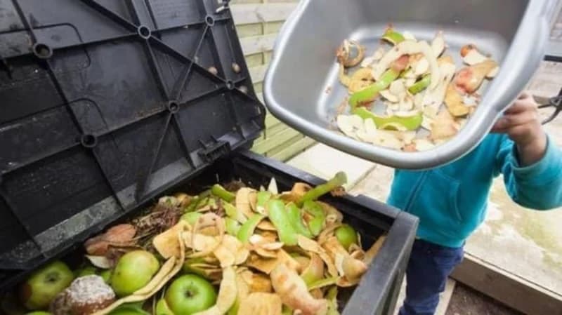 اقتصادي يدعو لضرورة خفض هدر الطعام في الفنادق والمنازل