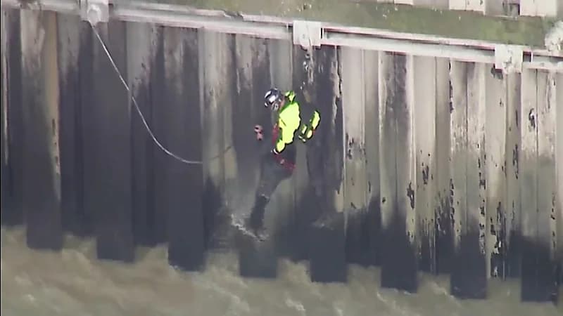 شاهد.. أحد رجال الدفاع المدني ينقذ غريقاً في بحر لوس أنجلوس بطريقة دراماتيكية