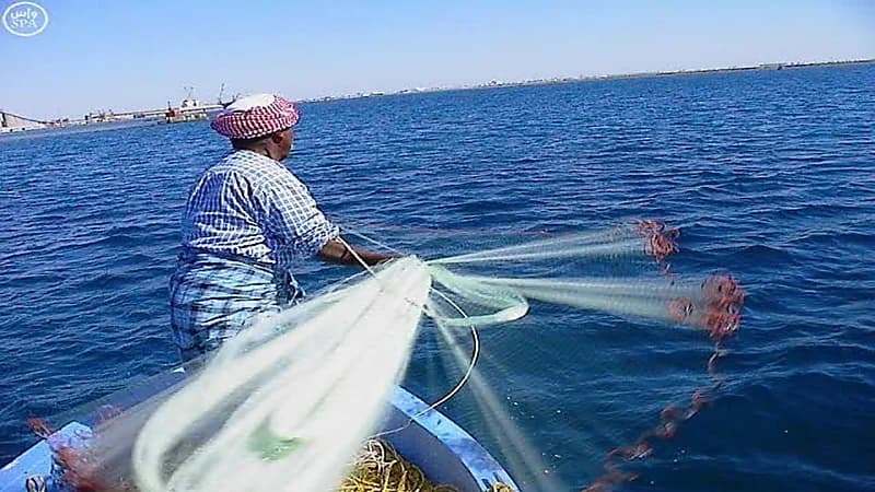 "البيئة" تطرح خدمة تعويض ودعم الصيادين