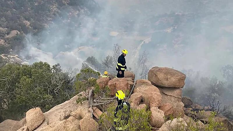 الدفاع المدني يسيطر على حريق في منطقة جبلية بالطائف