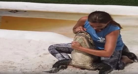 بالفيديو.. فتاة تصارع تماسيح بطريقة شرسة