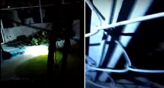 بالفيديو.. لحظة إلقاء شاب للتماسيح لاغتصابه فتاة صغيرة