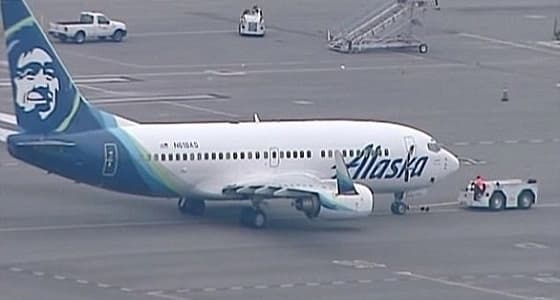 إلغاء رحلة طائرة أمريكية بسبب فأر