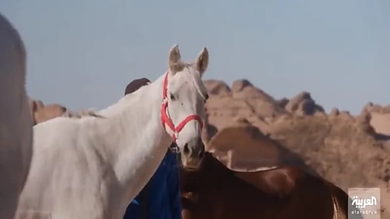 بالصور.. آيفون X جديد مرصع بـ344 ماسة بسعر 43 ألف يورو