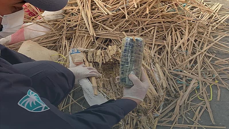 بالصور .. إحباط محاولتي تهريب مادة الحشيش مخبأة في صندوق شاحنة وأعواد من القصب