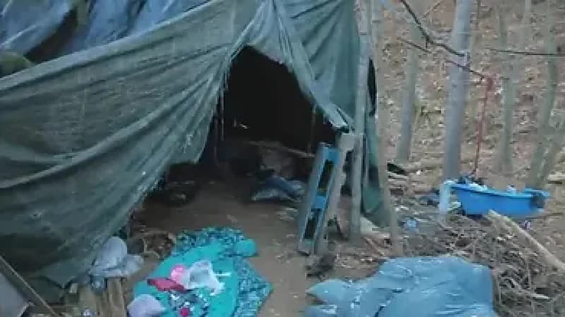 القبض على ابنة أسطورة البيسبول لانجابها بغابة وترك رضيعها يعاني في البرد