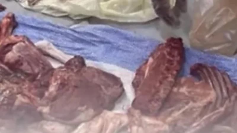 أمانة نجران تضبط 1782 كيلو جراماً من اللحوم الفاسدة