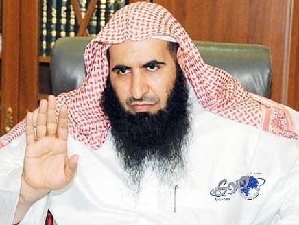 بالفيديو.. مصور يرصد نمراً يلقي حتفه