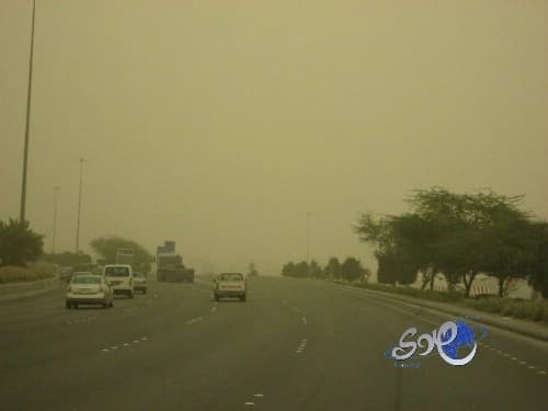 "الأرصاد": موجة الرياح والغبار تستمر على 8 مناطق حتى المساء
