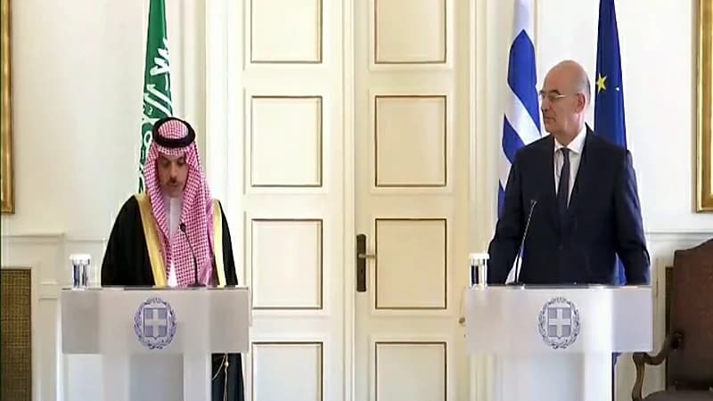 بالفيديو.. تفاصيل اجتماع وزير الخارجية مع الجانب اليوناني