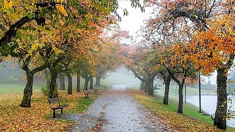 الحصيني: الاثنين المقبل اعتدال خريفي وتساوي الليل والنهار