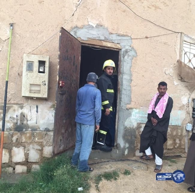 بالصور.. ثعلب يضع نفسه في موقف محرج