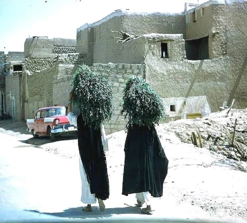 مشهد من قديم الرياض