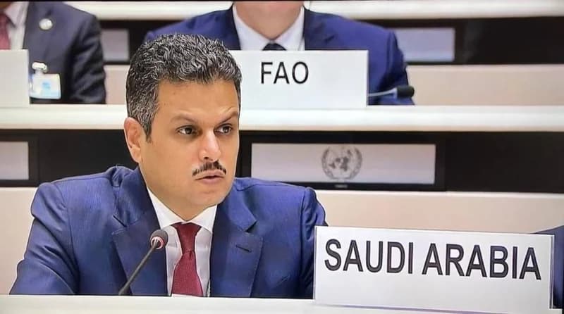 مندوب المملكة لدى الأمم المتحدة يحذر من العواقب الوخيمة جرّاء أعمال الاحتلال الإسرائيلي